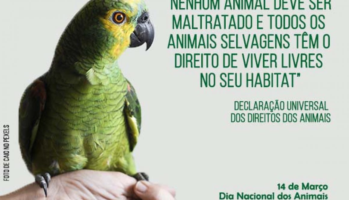 dia nacional dos animais - 14.03