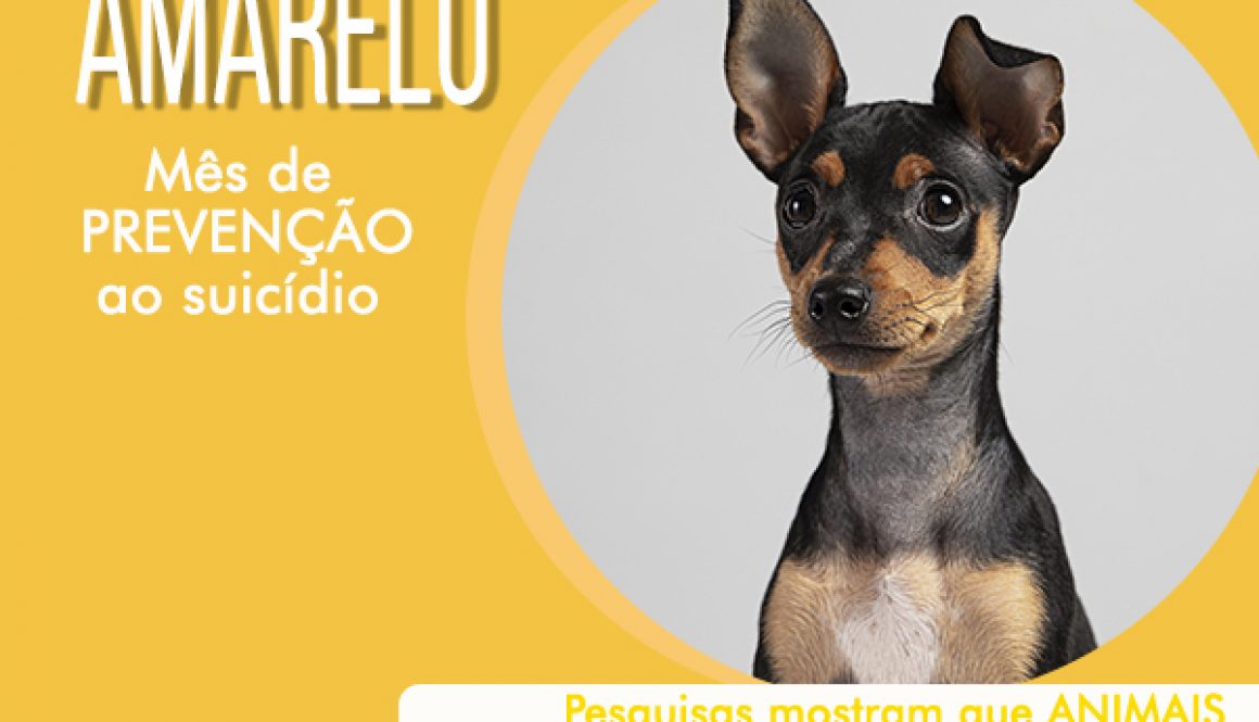 setembro amarelo e os animais - prevenção ao suicídio