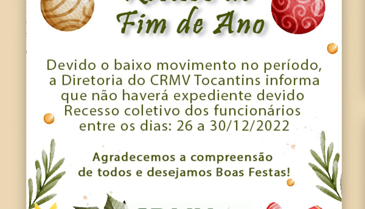 recesso de fim de ano copiar