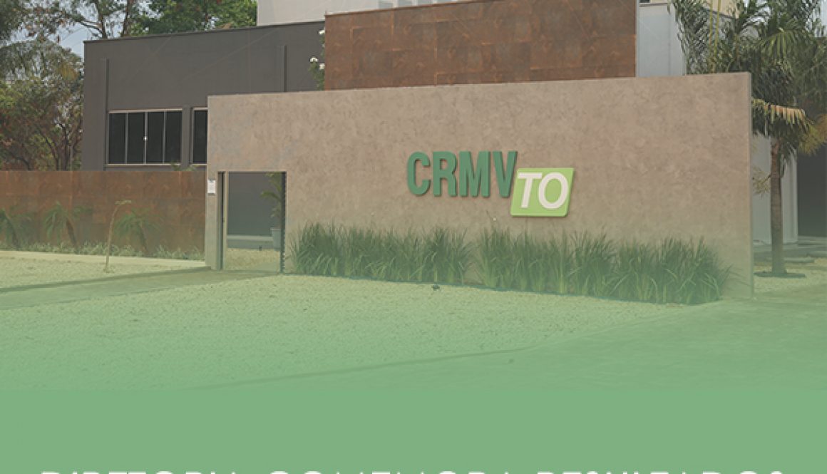 crmv comemora crescimento site copiar