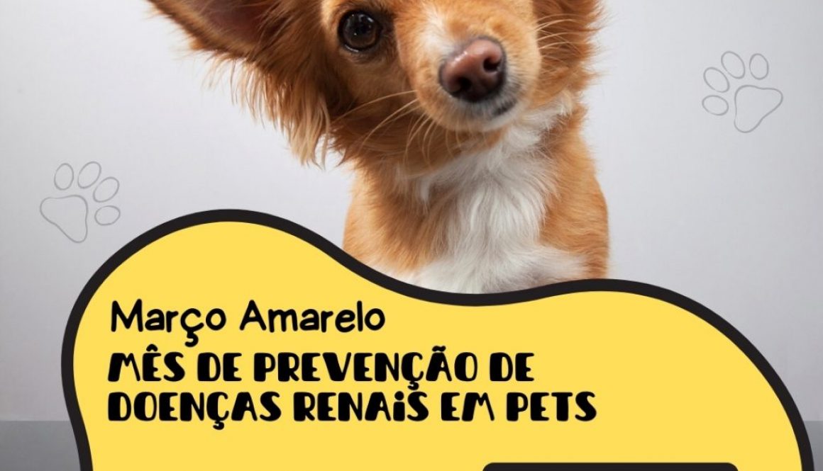 Story de instagram para pet shop banho pet amarelo e preto com foto (Post para Instagram (Quadrado))