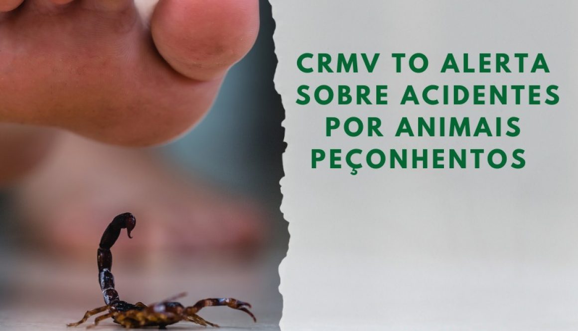 Acidente por animal peçonhento