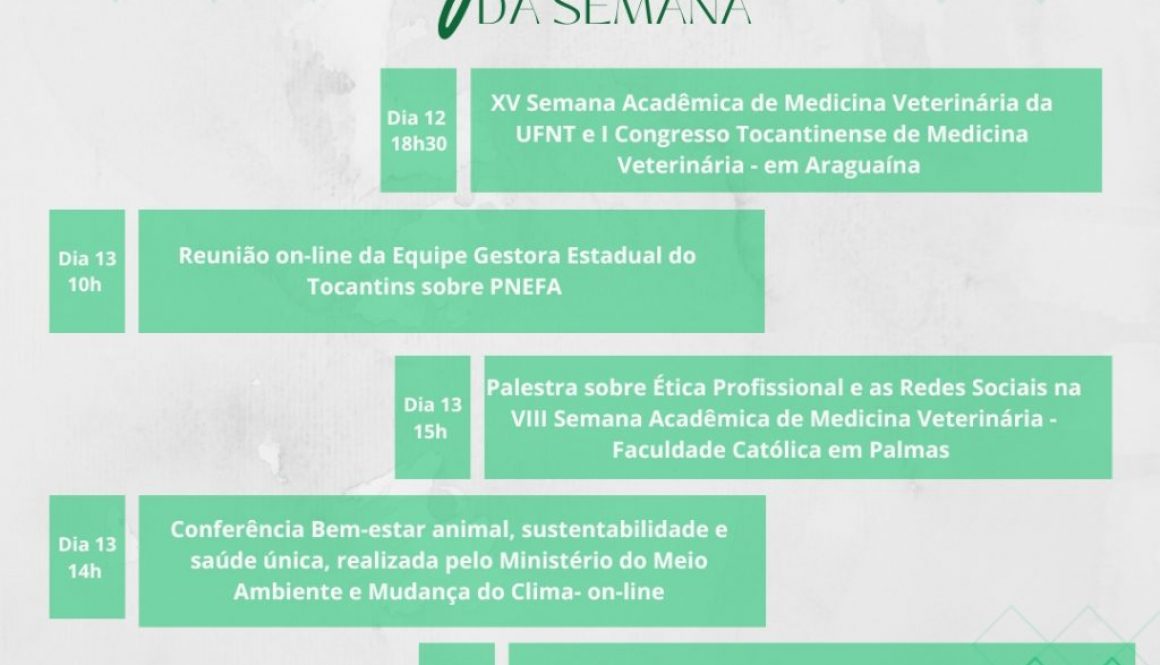 agenda da semana crmv (Post para Instagram (Quadrado))