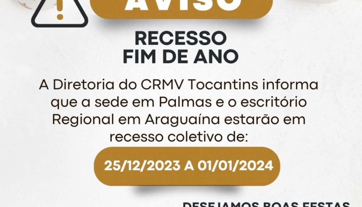 Aviso recesso fim de ano moderno branco instagram story (Post do Instagram) (1)