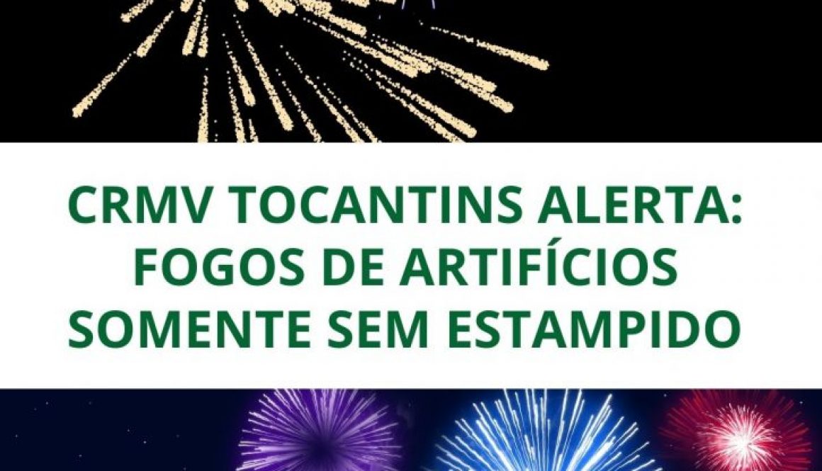 VIRADA SEM FOGOS