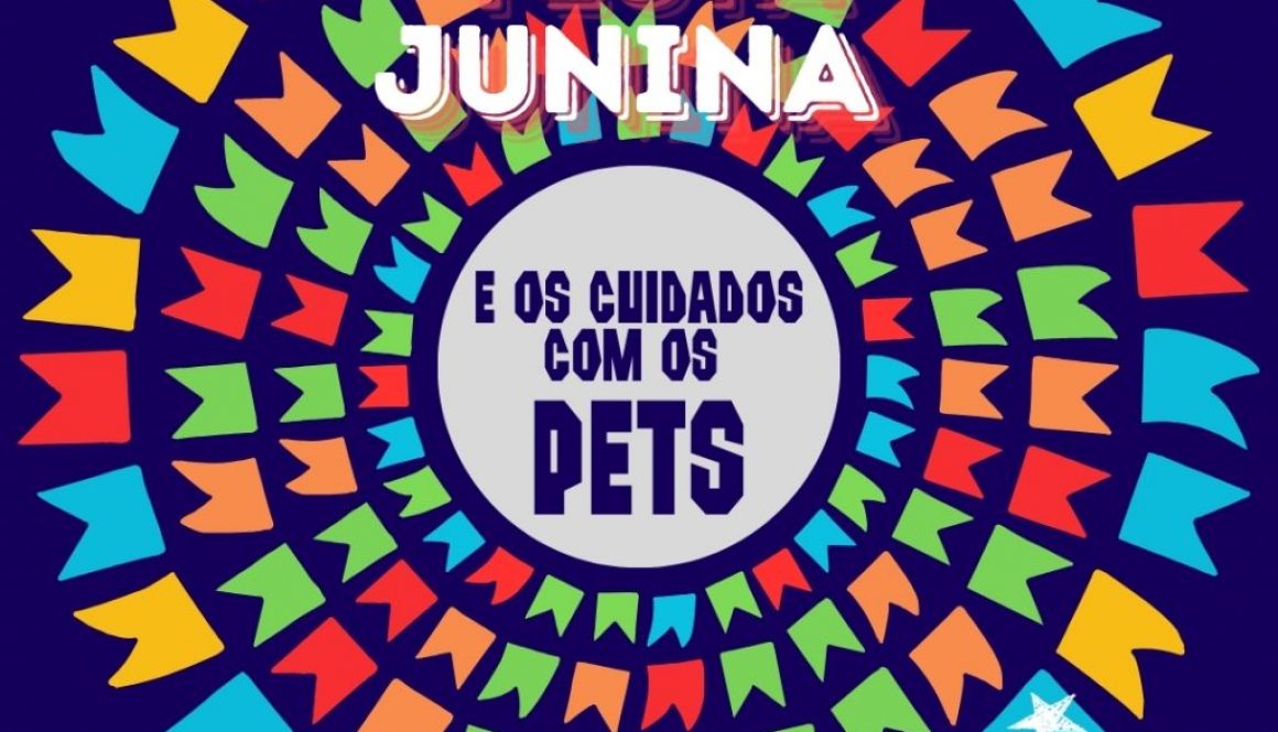 cuidados com pets nas festas juninas (Post para Instagram)