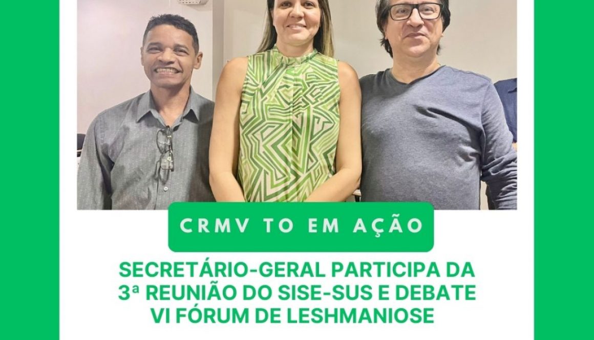 reunião SISE SUS agosto