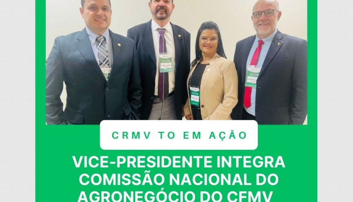 reunião inaugural comisssões