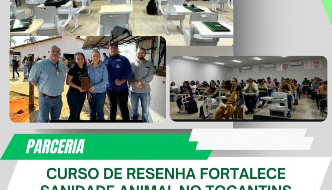 curso de resenha é sucesso