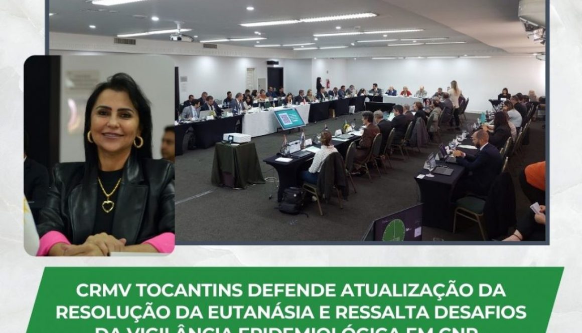 CNP em Curitiba - outubro 2024