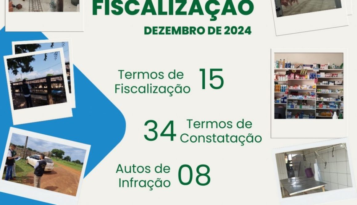 fiscalização dezembro 2024