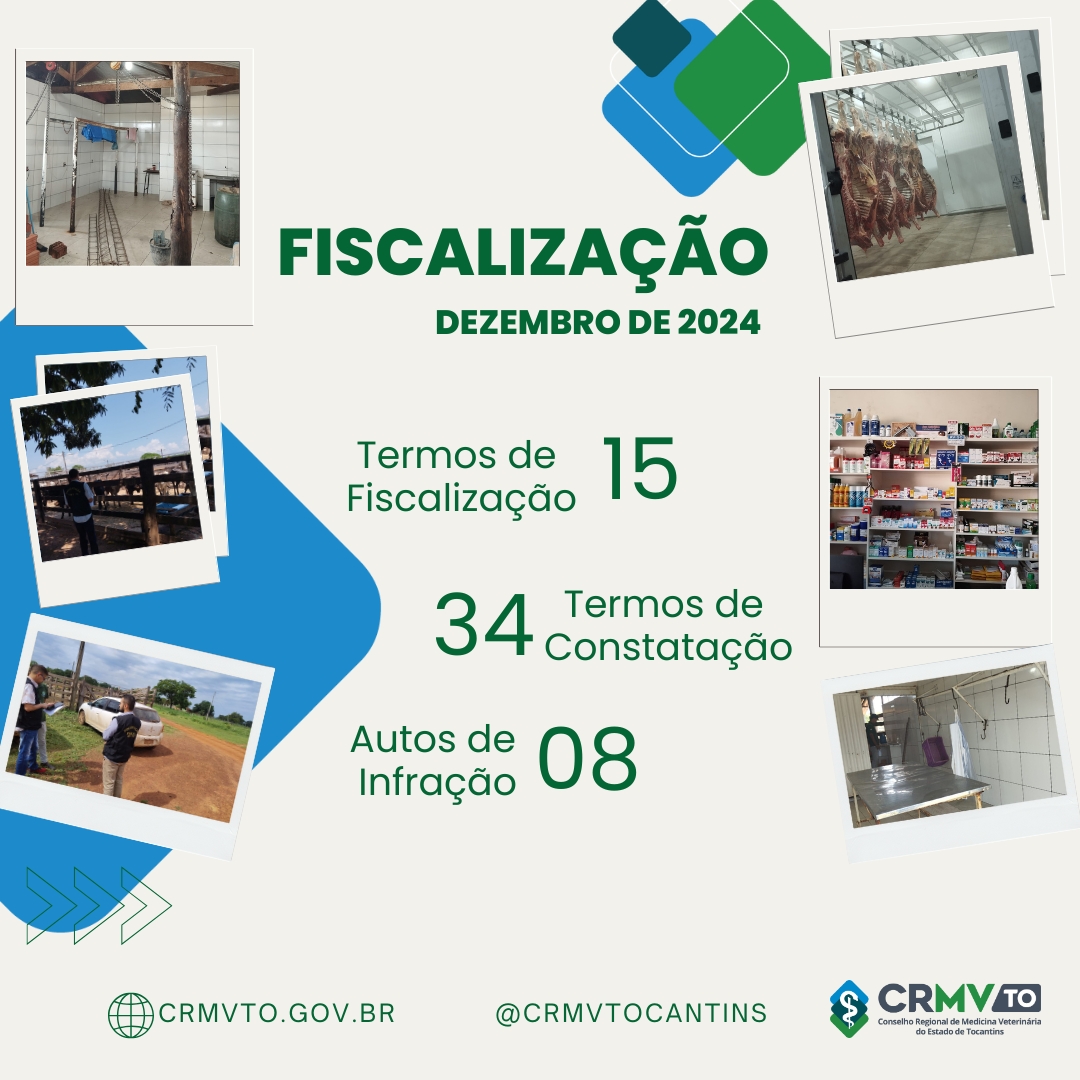 fiscalização dezembro 2024