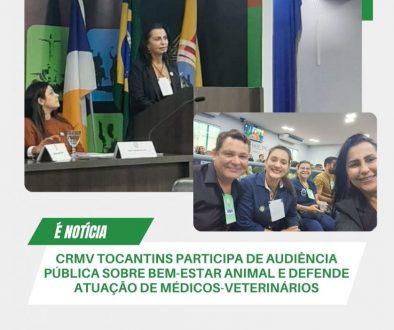 crmv participa de audiencia pública em camara de vereadores de araguaína (2)